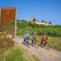 Cyclists along the German Wine Route