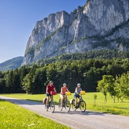 Three cyclists on a paved road with yellow panniers, riding through green meadows with the dramatic limestone cliffs of Drachenwand rising behind.