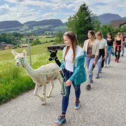 Customer service staff on the alpaca hike
