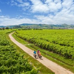 Panoramic view of three cyclists on the cycle path near Montforte Alpone