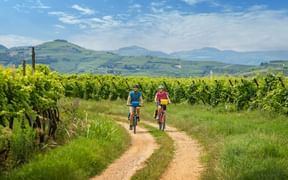 Two cyclists on a country lane between vineyards near Montforte Alpone