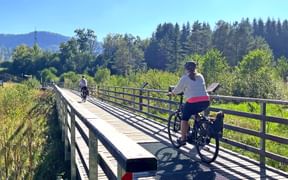 Cyclists on a footbridge in the Keutschach moorland area