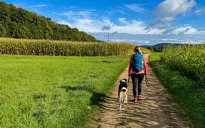 Woman with blue backpack hiking with black and white dog on dirt path between green fields and cornfields under blue sky in Altmühltal.