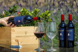 Borgo del Cabreo wine