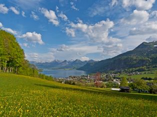 View of Lake Wolfgang with flower meadow and St. Gilgen in the foreground and the mountain panorama in the background
