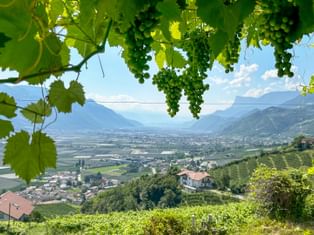 Panoramablick auf Tscherms