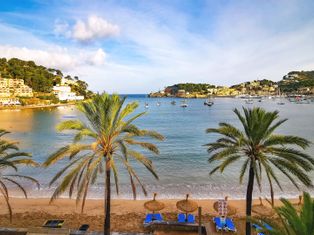 View from the hotel room onto the beach and the port of Port Soller, with palm trees in the foreground