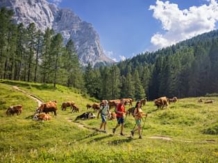 Hiker Vršič Pass