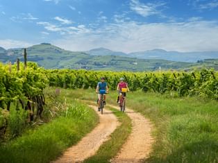 Two cyclists on a country lane between vineyards near Montforte Alpone