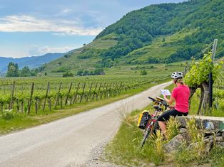 A cyclist takes a break next to the well-maintained cycle path in the vineyards of the Wachau and studies the further course of the tour on a map