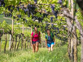 Two female hikers between vines