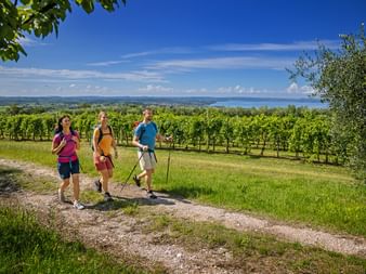 Hikers on a hiking trail with a view of Lake Garda