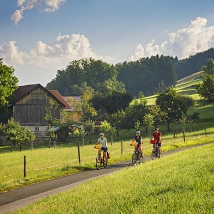 Radfahrer in Michaelbeuern