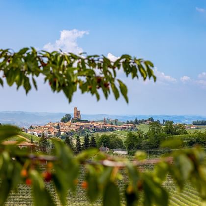 Ausblick auf Monforte in Piemont