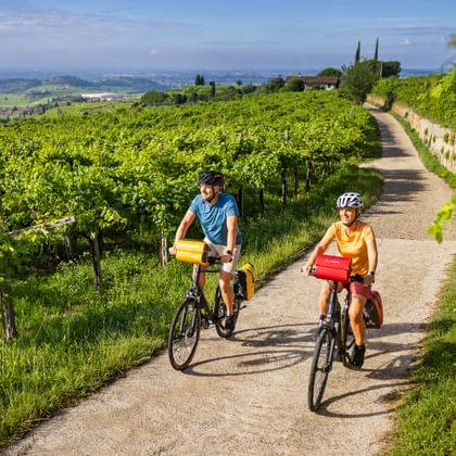 A couple's cycle tour in the vineyards of Valpolicella